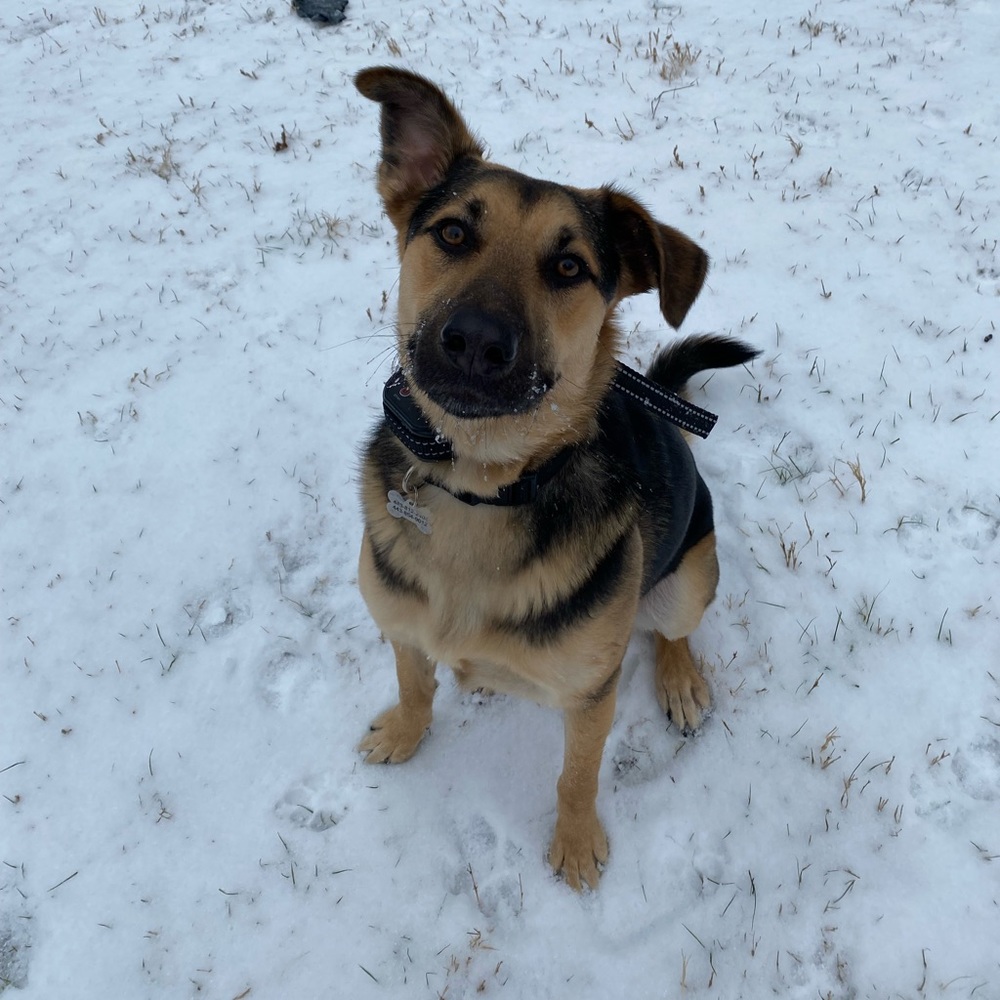 Meet your Posher, Jennifer